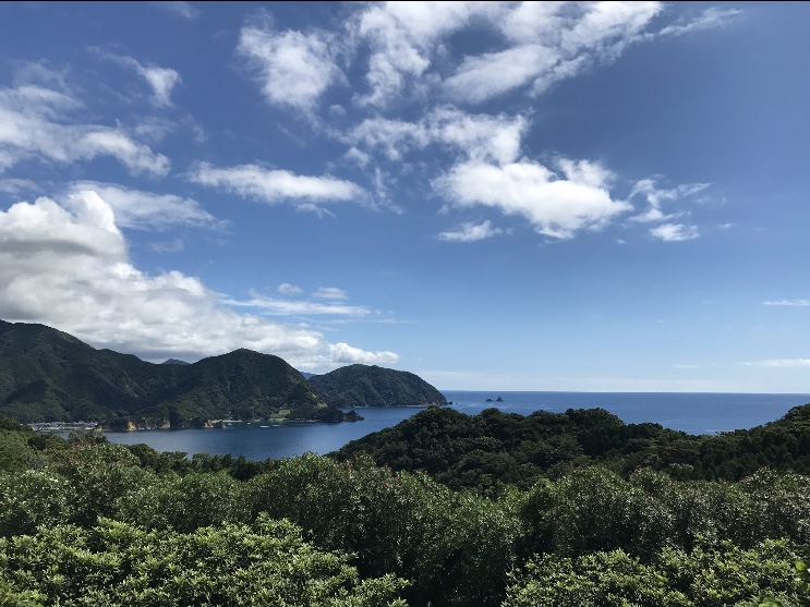 長時間の会議通訳に入るときや 一日に何件も続くとき  通訳のパフォーマンスを支える  「脳」をはじめ、身体のコンディションを 意識して管理しています。  そのポイントは「血糖値」。