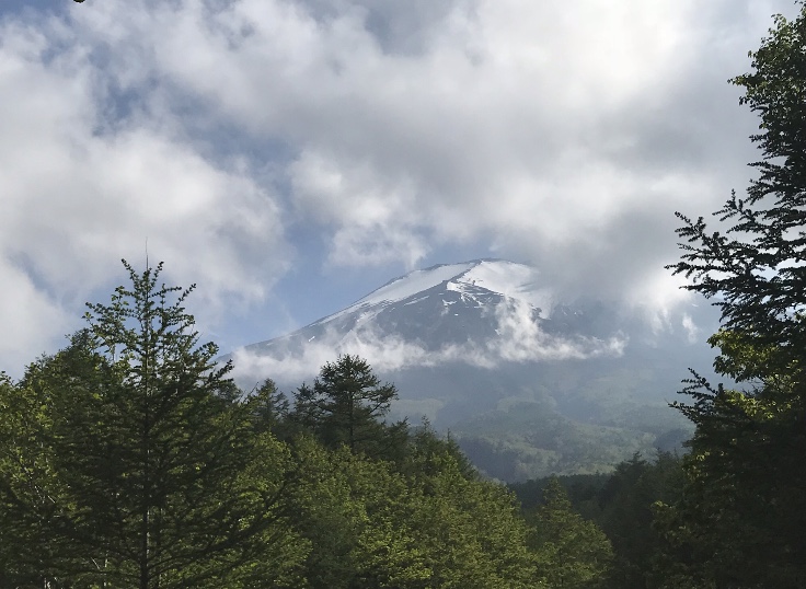 人生1回。 無理して嫌なことなんて やる必要はない。