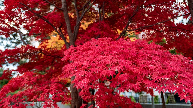 自分に対してとことん正直になること それが心身によい影響を与えるのである。